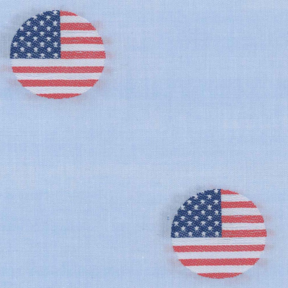 American Flag Dot - Scott Barber