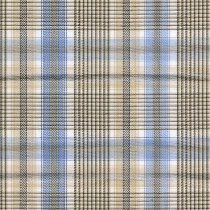Fine Poplin Plaid